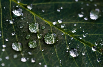 Non toxic fabric protector: the low down on ingredients