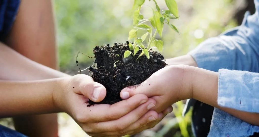 2 kids planting a plant